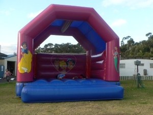 South Coast Jumping Castles Pic 3