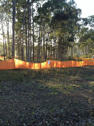 Reeper Mulching Pic 4 - One acre block very hevy timber the average tree was over 500 mm in diameter