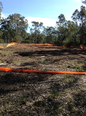 Reeper Mulching Pic 5 - Trees gone stumps gone