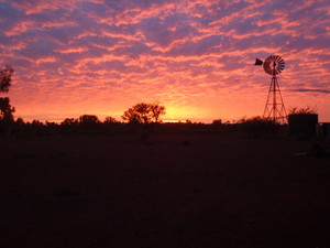 Make Your Own Adventure: Tag Along with Gus Pic 5 - Pilbara Sunset WA