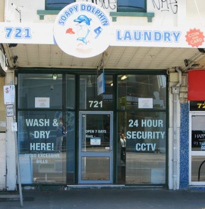 Soapy Dolphin Laundry Pic 1