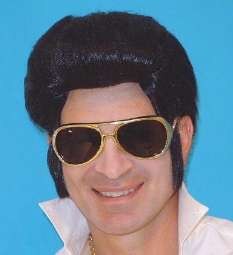 Christina's Costumes Fancy Dress Hire Pic 2 - king of rock wig