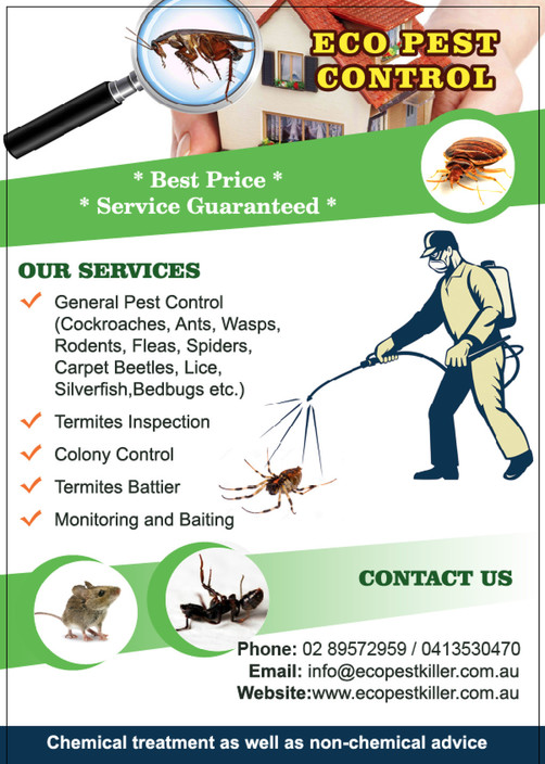 Eco Pest Control Pic 1