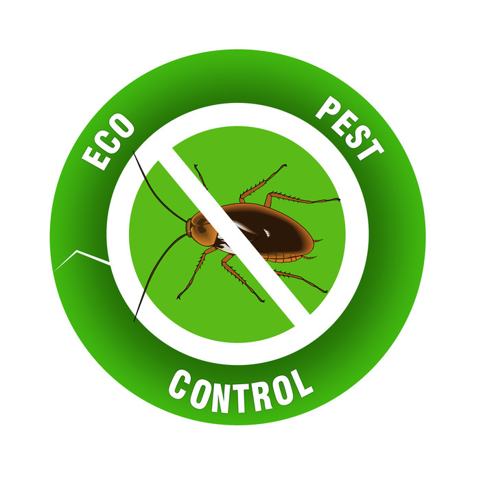 Eco Pest Control Pic 2