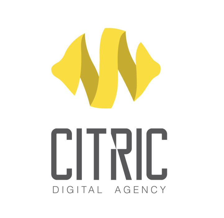 Citric Digital Agency Pic 1