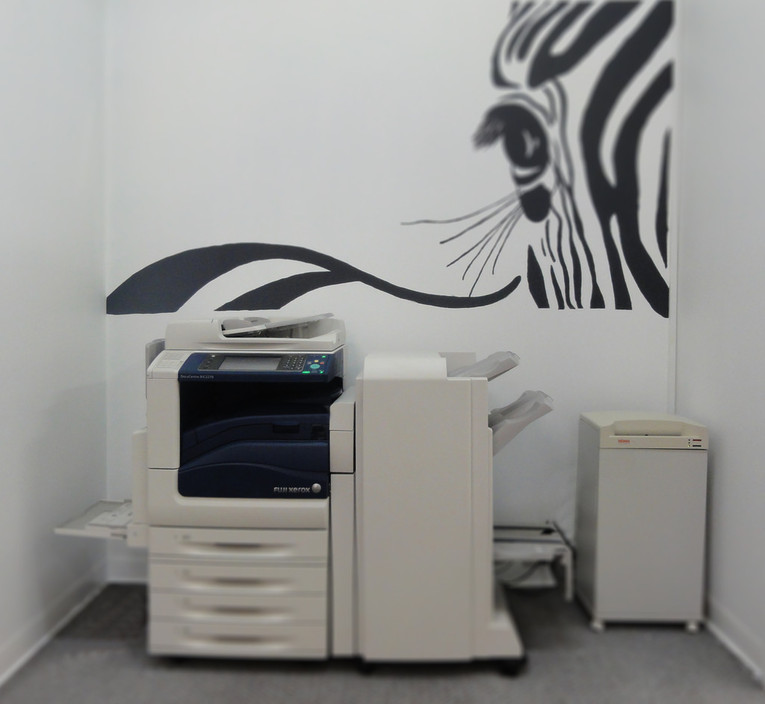 oHUB Pic 1 - Multi Function Xerox