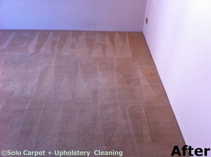 Solo Carpet Cleaning Pic 4 - After