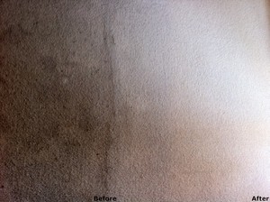 Solo Carpet Cleaning Pic 5 - Before After