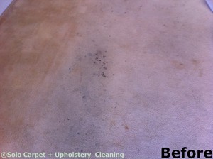 Solo Carpet Cleaning Pic 3 - Before