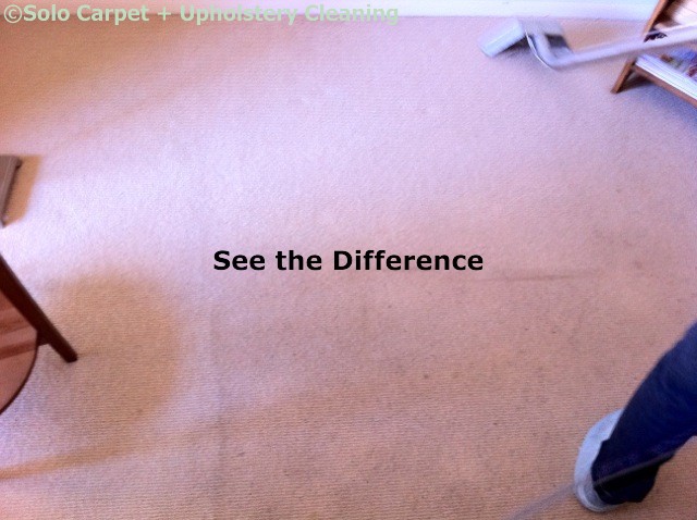 Solo Carpet Cleaning Pic 1 - See The Difference