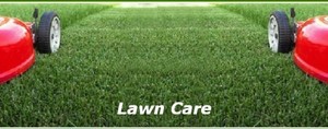 EHT OUTDOORS Pic 4 - LAWN CARE Laying a new lawn rejuvenating a tired lawn weeding pest control or just a quick trim and cut we have a lawn care solution to suit your needs