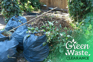 EHT OUTDOORS Pic 3 - GENERAL GARDEN MAINTENANCE Whether its regular garden maintenance or a one time garden clean up our experienced reliable gardening team can assist you today