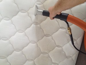 Superior Carpet Cleaning Pic 3