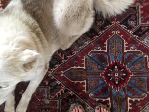 The Oriental Rug Pic 4