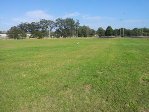 Tweed Coast Slashing Pic 3 - Cleanup and slashingMowing Aquatic club Property Frazer Drive Tweed Heads