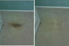 Kath's Karpet Kleening & Pest Control Pic 4 - Before After