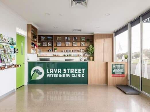 Lava Street Veterinary Clinic Pic 1