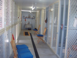 Meroo Kennels and Cattery Pic 4 - Luxury accommodation for your feline