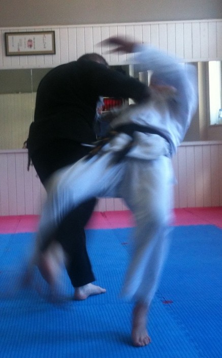 Weststar Martial Arts Pic 1