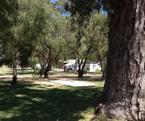 Lake Clifton Caravan Park Pic 2