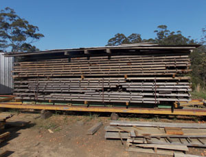 Osmond Sawmill Pic 5