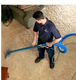 Nationwide Carpet Cleaning Service Pic 5 - Professional Friendly Staff