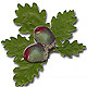 Oak Web Design Pic 1 - Oak Web Design