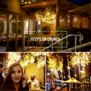 Glow Worm Lighting Pic 4 - A recent installation by the Glow Worm Lighting team in Toowoomba at Fitzys on Church Featuring commercial LED icicle lights in hanging baskets and commercial led festoon lights