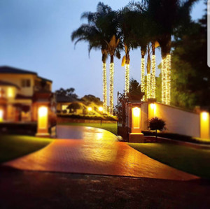 Glow Worm Lighting Pic 5 - Ahhh palm trees How good to these entrance palms look with our commercial quality warm white LED Fairy Lights