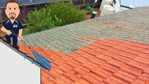 Moss Roof Treatment Pic 5