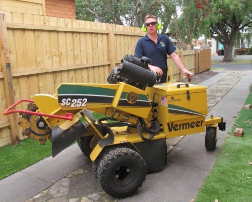 Commercial Garden Services - Stump Removal Pic 1