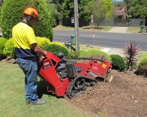 Commercial Garden Services - Stump Removal Pic 3