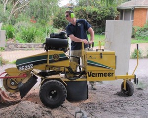 Commercial Garden Services - Stump Removal Pic 4