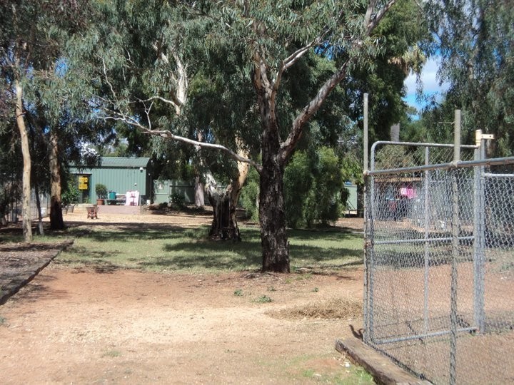 Riverland Boarding Kennels Pic 1