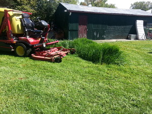 Joe's Mows Pic 2 - Mowing 600mm grass cut and collected in one pass