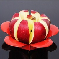 Zhiy In Fashion Pic 3 - Apple Corer Cutter