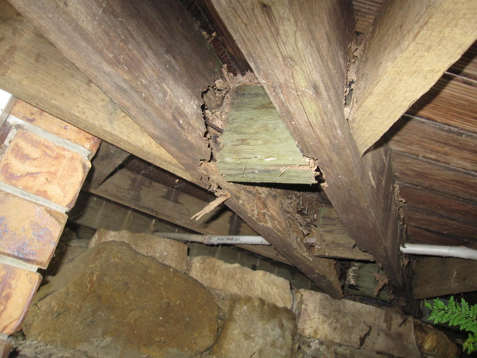 The Termite Managers Pic 2 - Termite Damage