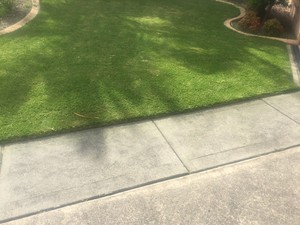 ECS Lawn and Garden Care Pic 3