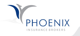 Phoenix Insurance Brokers Pic 1