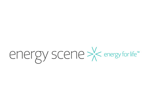 Energy Scene Pic 1 - Energy Scene Energy for Life