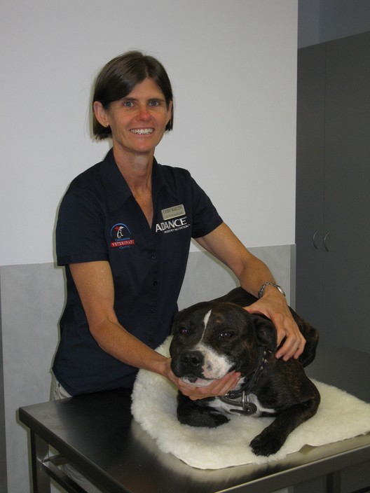 Condamine Veterinary Clinic Pic 1