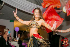 Belly Dancer Bombshells Pic 4 - Professional belly dancer