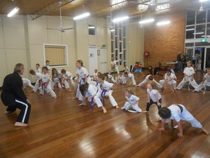 POW Martial Arts Australia Pic 3 - Sitting Stance