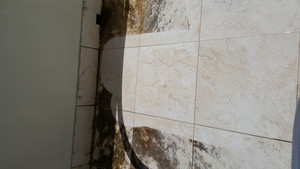 clean to the xtreme Pic 2 - Tile Cleaning