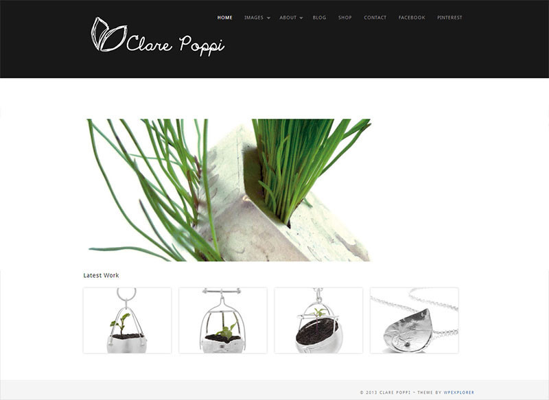 The Grazing Elk Pic 1 - A folio website for Brisbane jeweller Clare Poppi who specialises in recycled silver jewellery