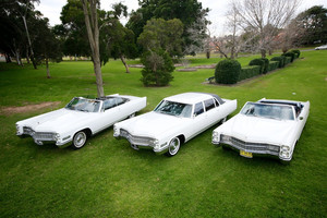 Luxury Wedding Cars Pic 4 - Classic Luxury Wedding Cars Sydney