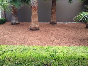 Macarthur Property & Lawn Services Pty Ltd Pic 5 - Landscaping new existing work Wetherill Park