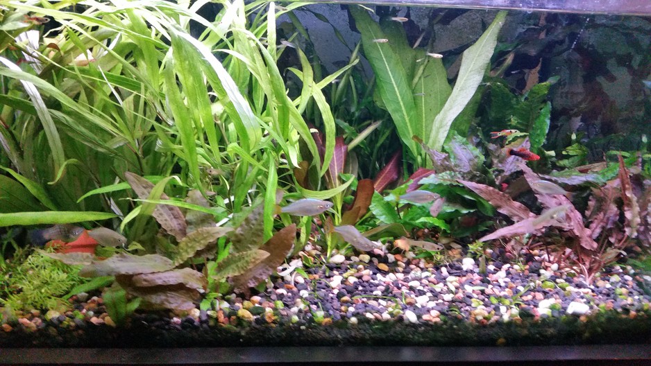 City Pet And Aquarium Pic 2