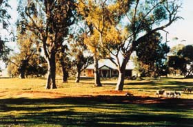 Blue Gum House Pic 1 - Blue Gum House via Orroroo Flinders Ranges and Outback South Australia