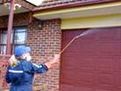 MLC Pest Control Pic 1